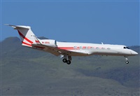 Alejandro H.L - Gran Canaria Spotters. Click to see full size photo