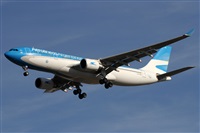 ©Alfonso Solís - Asociación Canary Islands Spotting. Click to see full size photo ©Alfonso Solís - Asociación Canary Islands Spotting. Click to see full size photo
