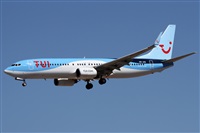 Alfonso Sols - Asociacin Canary Islands Spotting. Click to see full size photo