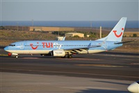 Miguel A. gueda Rguez.  (CANARY ISLANDS SPOTTING). Click to see full size photo