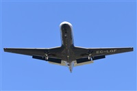 Miguel A. gueda Rguez.  (CANARY ISLANDS SPOTTING). Click to see full size photo