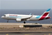 ©Alfonso Solís - Asociación Canary Islands Spotting. Click to see full size photo ©Alfonso Solís - Asociación Canary Islands Spotting. Click to see full size photo