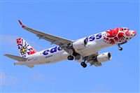 Miguel A. gueda Rguez.  (CANARY ISLANDS SPOTTING). Click to see full size photo