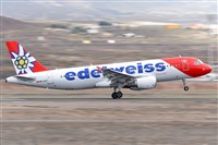 Miguel A. gueda Rguez.  (CANARY ISLANDS SPOTTING). Click to see full size photo