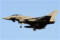 Alfonso Sols - Asociacin Canary Islands Spotting. Click to see full size photo
