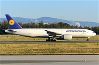 Miguel A. gueda Rguez.  (CANARY ISLANDS SPOTTING). Haz click para ampliar