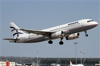 Alfonso Sols - Asociacin Canary Islands Spotting. Haz click para ampliar
