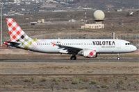 Alfonso Sols - Asociacin Canary Islands Spotting. Click to see full size photo