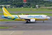 Miguel A. gueda Rguez.  (CANARY ISLANDS SPOTTING). Click to see full size photo