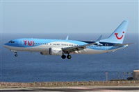 Alfonso Sols - Asociacin Canary Islands Spotting. Click to see full size photo