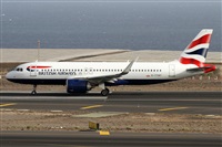 ©Alfonso Solís - Asociación Canary Islands Spotting. Click to see full size photo ©Alfonso Solís - Asociación Canary Islands Spotting. Click to see full size photo