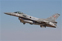 ©Juan Ojados. Click to see full size photo ©Juan Ojados. Click to see full size photo