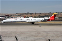 �Alfonso Sol�s - Asociaci�n Canary Islands Spotting. Click to see full size photo