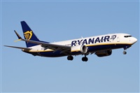 ©Alfonso Solís - Asociación Canary Islands Spotting. Click to see full size photo ©Alfonso Solís - Asociación Canary Islands Spotting. Click to see full size photo