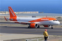 �Miguel A. �gueda Rguez.  (CANARY ISLANDS SPOTTING). Click to see full size photo