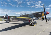 �Rod Dermo. Click to see full size photo