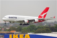 �Miguel A. �gueda Rguez.  (CANARY ISLANDS SPOTTING). Click to see full size photo
