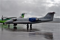 Javier de la Cruz - CANARY ISLANDS SPOTTING. Click to see full size photo