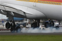 Andrs Meneses - Iberian Spotters. Click to see full size photo