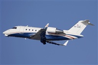 Jos Miguel Bernases - Noisy Spotters. Click to see full size photo