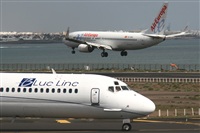 Adrin Alonso Lemes - Lanzarote Spotters. Haz click para ampliar