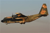 Rodrigo Carvalho - Noisy Spotters. Click to see full size photo