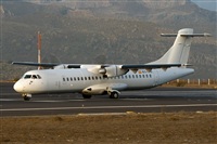Javier de la Cruz - CANARY ISLANDS SPOTTING. Click to see full size photo