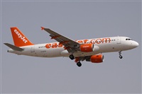 Alfonso Sols - Asociacin Canary Islands Spotting. Haz click para ampliar