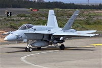 Florencio Martn Melin - Lanzarote Spotters. Haz click para ampliar