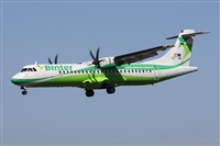 ©Alfonso Solís - Asociación Canary Islands Spotting. Click to see full size photo ©Alfonso Solís - Asociación Canary Islands Spotting. Click to see full size photo