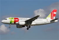 Jos Miguel Bernases - Noisy Spotters. Click to see full size photo