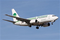 ©Alfonso Solís - Asociación Canary Islands Spotting. Click to see full size photo ©Alfonso Solís - Asociación Canary Islands Spotting. Click to see full size photo