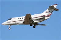 Cele - Spotters BCN. Click to see full size photo