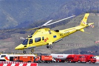 Miguel A. gueda Rguez.  (CANARY ISLANDS SPOTTING). Click to see full size photo