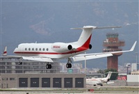 Jos Miguel Bernases - Noisy Spotters. Click to see full size photo