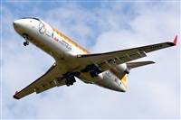 Josep Oll. Click to see full size photo