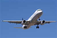 Saimon J Rodriguez   -   Canary Islands Spotting. Click to see full size photo