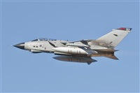 Fco Javier Garca Ruiz. Click to see full size photo