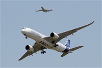 Rodrigo Carvalho - Noisy Spotters. Click to see full size photo