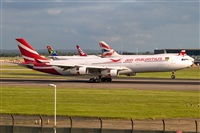 Javier de la Cruz - CANARY ISLANDS SPOTTING. Click to see full size photo