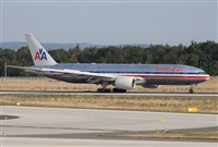 Miguel Alia - Noisy Spotters. Click to see full size photo