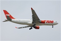 Miguel A. gueda Rguez.  (CANARY ISLANDS SPOTTING). Click to see full size photo