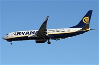 Alfonso Sols - Asociacin Canary Islands Spotting. Haz click para ampliar