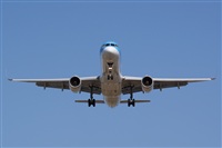 Saimon J Rodriguez   -   Canary Islands Spotting. Click to see full size photo