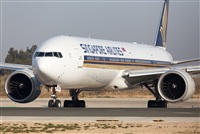 Miguel Alia - Noisy Spotters. Click to see full size photo