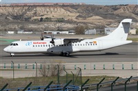 ©Alfonso Solís - Asociación Canary Islands Spotting. Click to see full size photo ©Alfonso Solís - Asociación Canary Islands Spotting. Click to see full size photo