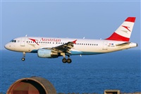 ©Adolfo Bento - Gran Canaria Spotters. Click to see full size photo ©Adolfo Bento - Gran Canaria Spotters. Click to see full size photo