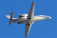 Miguel A. gueda Rguez.  (CANARY ISLANDS SPOTTING). Click to see full size photo