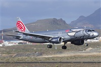 Saimon J Rodriguez   -   Canary Islands Spotting. Click to see full size photo