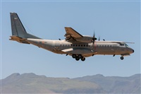 Adolfo Bento - Gran Canaria Spotters. Haz click para ampliar